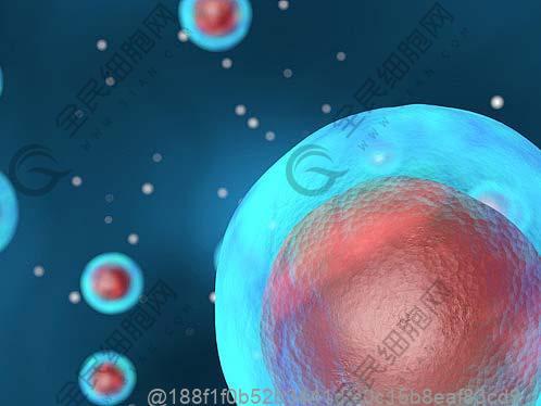 广西哪家1型糖尿病干细胞医院好