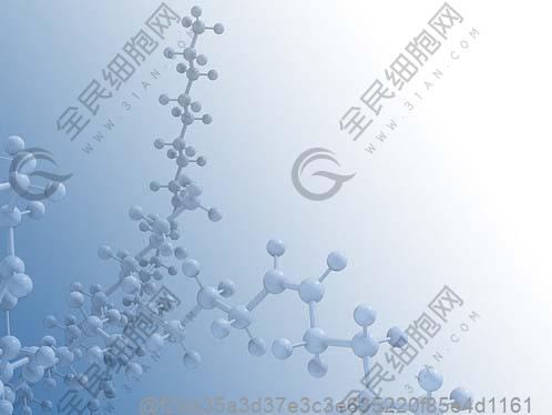 新泰干细胞治疗尿毒症医院排名